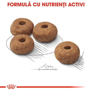Royal Canin Medium Sterilised Adult – Hrană Uscată pentru Câini Adulți Sterilizați de Talie Medie – 12 kg